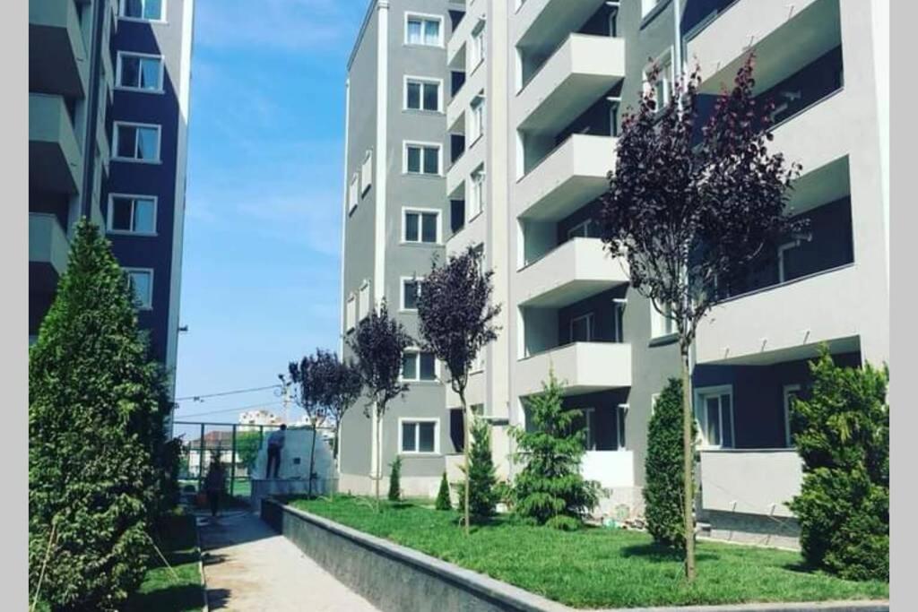 Studio Dedal Residence Năvodari Exteriér fotografie